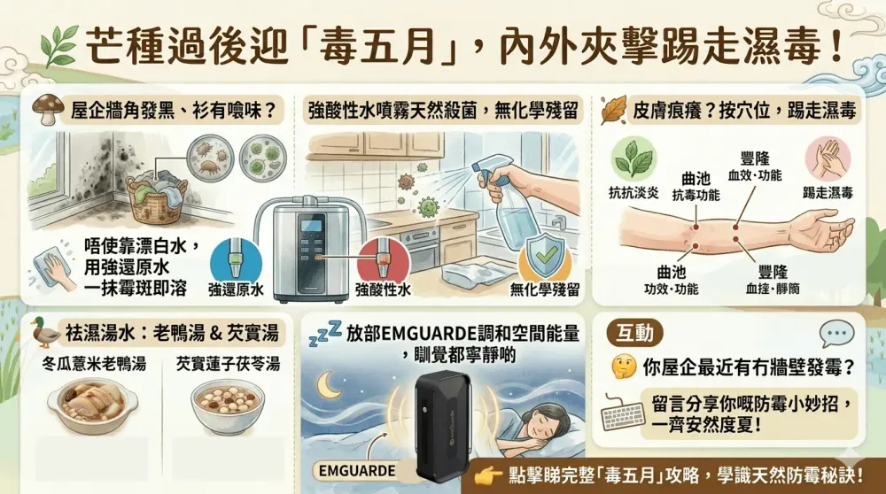 芒種後迎農曆「毒五月」:居家防霉防菌,內外兼顧保安康