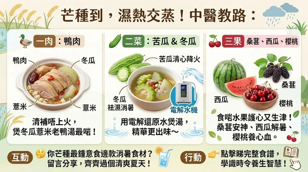 芒種飲食智慧:「一肉二菜三果」,食出清爽好體質